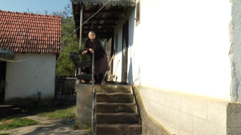 hraniteljka Milica Spasojević